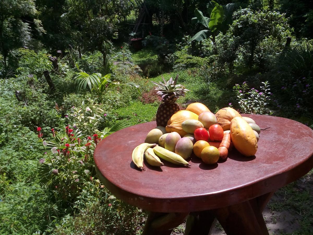 Beach Cabin Ometepe Altagracia Bagian luar foto